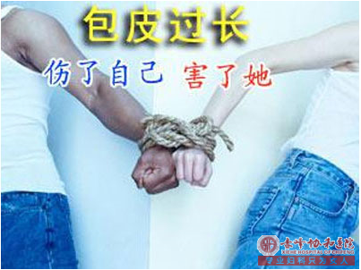 ɽƤӰ췿