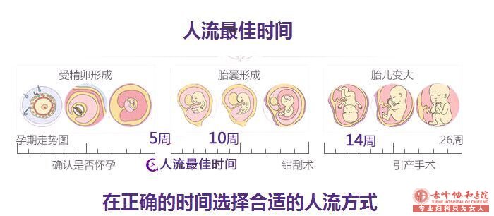 金华医院妇科专家告诉你无痛人流的正确时间 